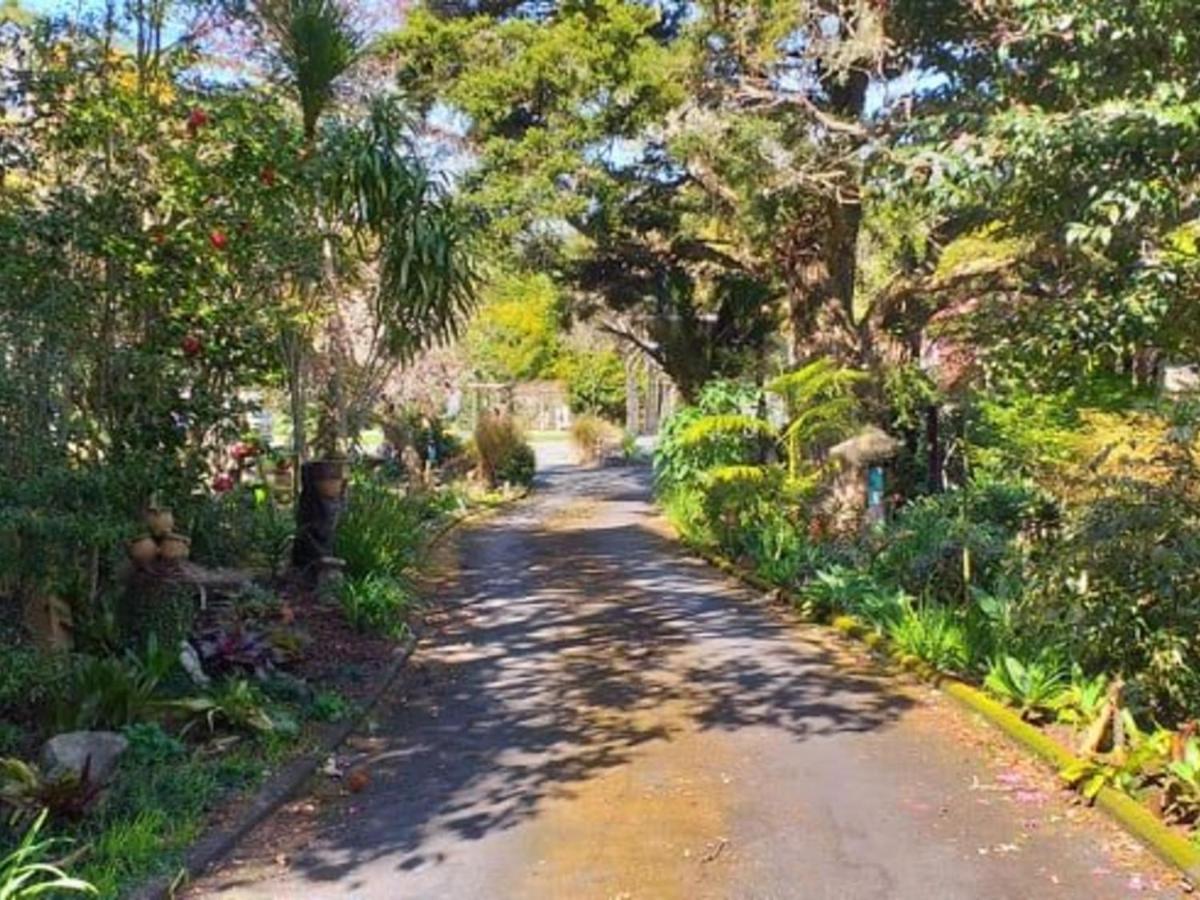 Waimoana Garden Accommodation Whangarei Dış mekan fotoğraf