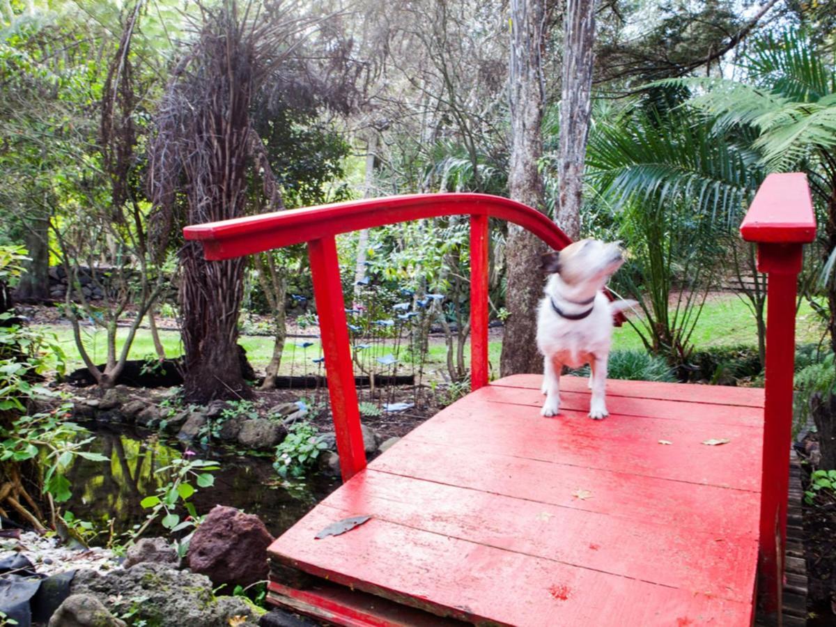 Waimoana Garden Accommodation Whangarei Dış mekan fotoğraf